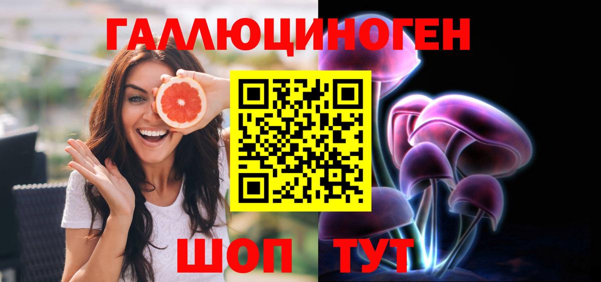 Урюпинск  Галлюциногенные грибы прущие грибы  Вход с VPN  Галлюциногенные грибы Psilocybe 