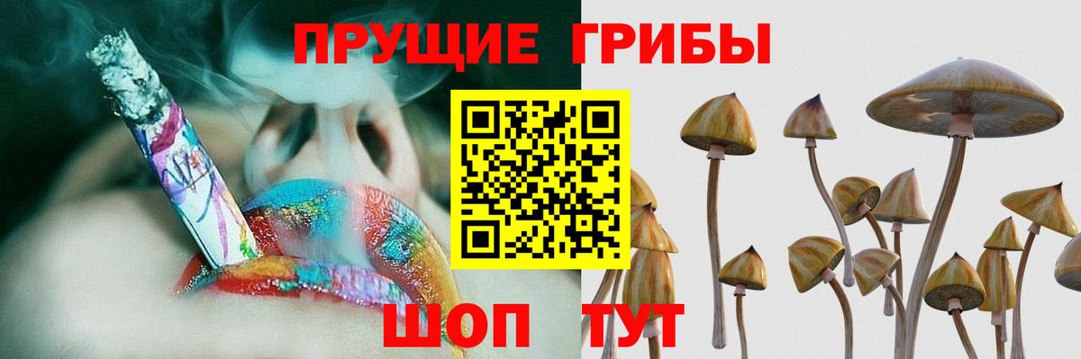 Псилоцибиновые грибы мицелий Урюпинск